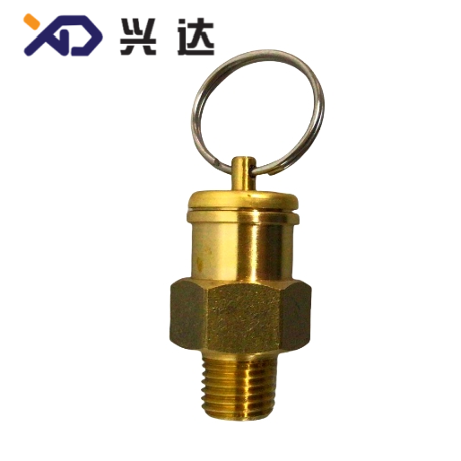Pressure relief valve-1/4